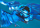 peintures Jean-Christophe Geluck